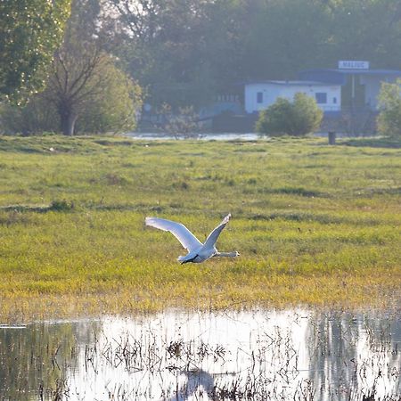 Готель Vulturul Pescar Maliuc Екстер'єр фото